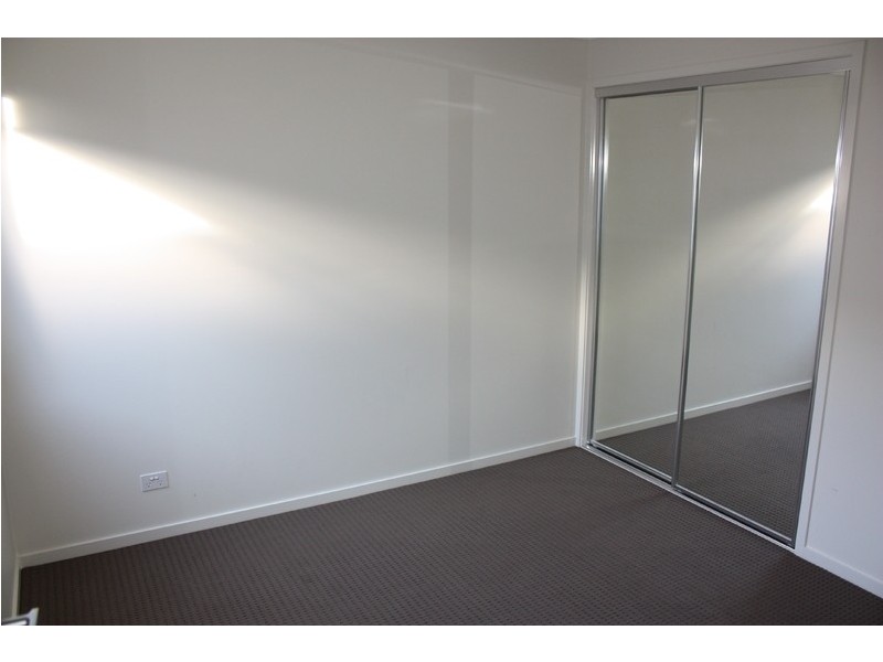 44 Brushbox Circuit, Peregian Springs QLD 4573