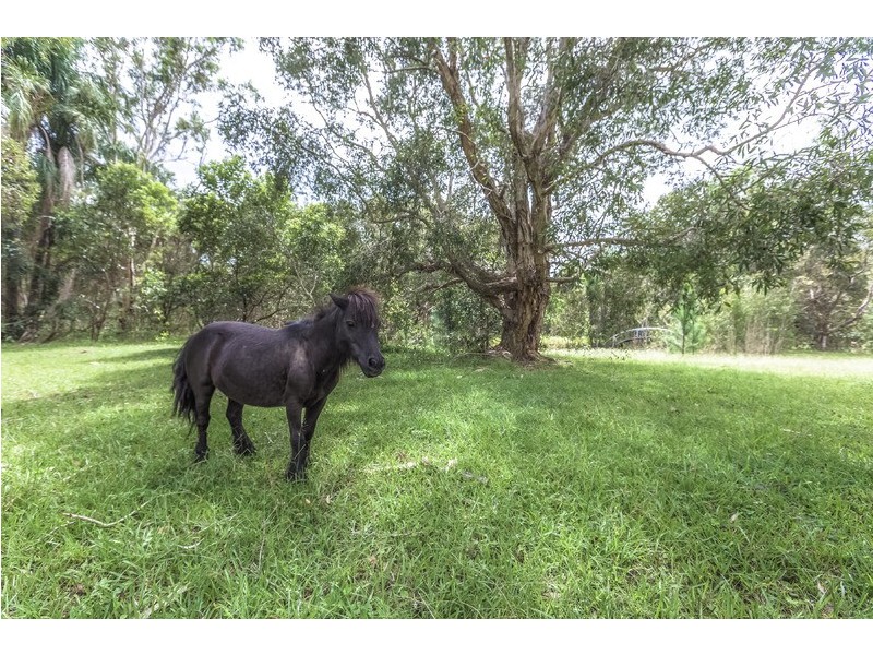 26 Jirrima Crescent, Cooroibah QLD 4565