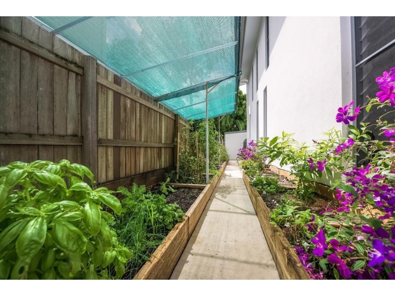 49 Sunset Way, Cooroibah QLD 4565