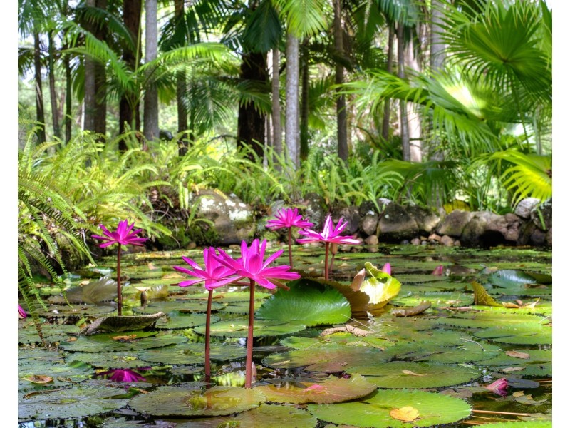 1/478 Dath Henderson Road, Tinbeerwah QLD 4563