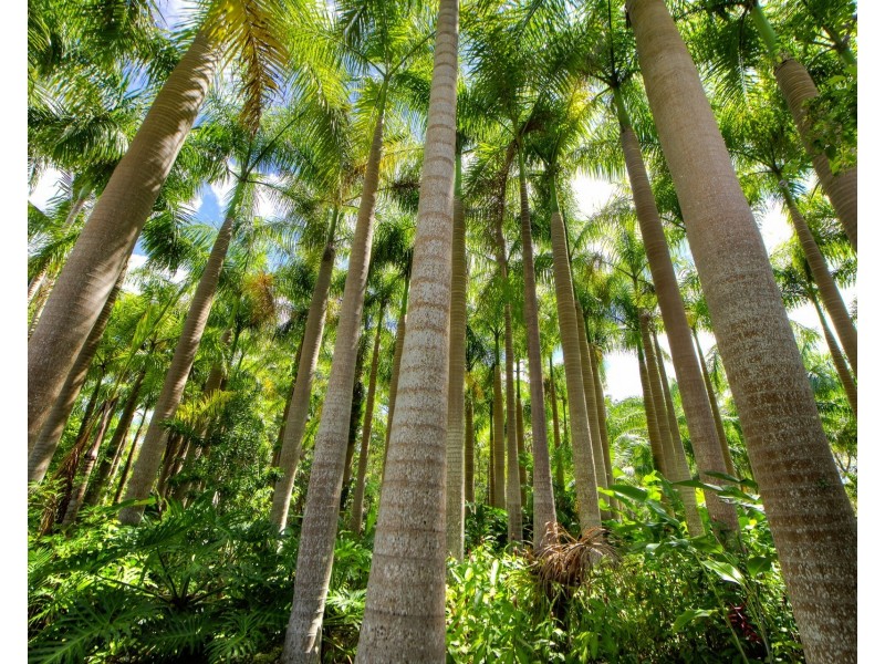 1/478 Dath Henderson Road, Tinbeerwah QLD 4563