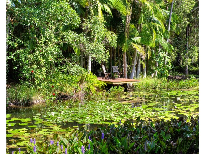 1/478 Dath Henderson Road, Tinbeerwah QLD 4563