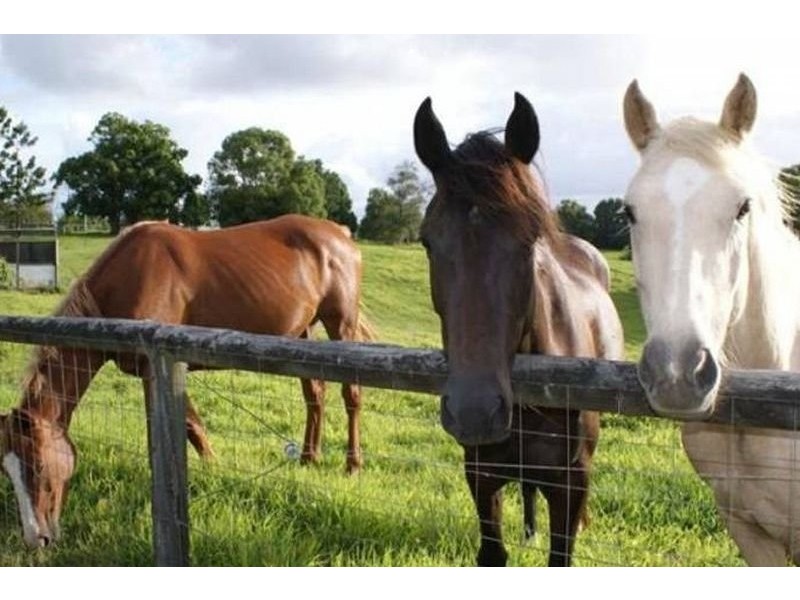 74 Frogmouth Lane, Lake Macdonald QLD 4563