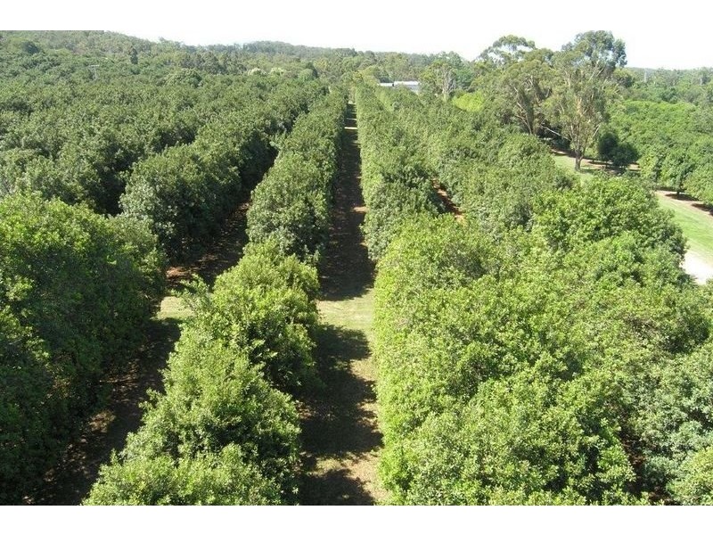 299 Bates Road, Kin Kin QLD 4571