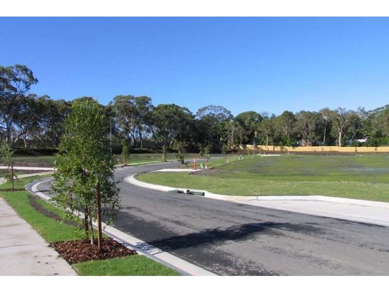 Lot 46 Brushbox Circuit, Peregian Springs QLD 4573