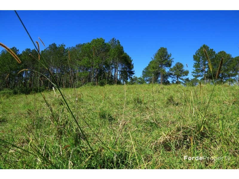 William Road, Eumundi QLD 4562