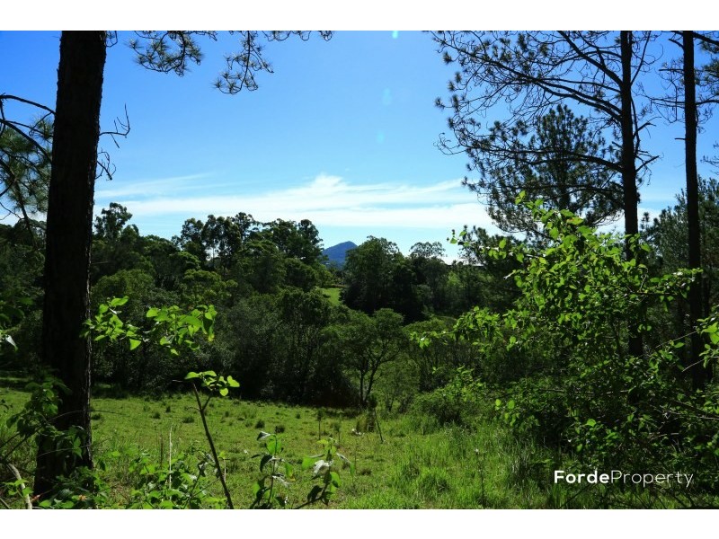 William Road, Eumundi QLD 4562