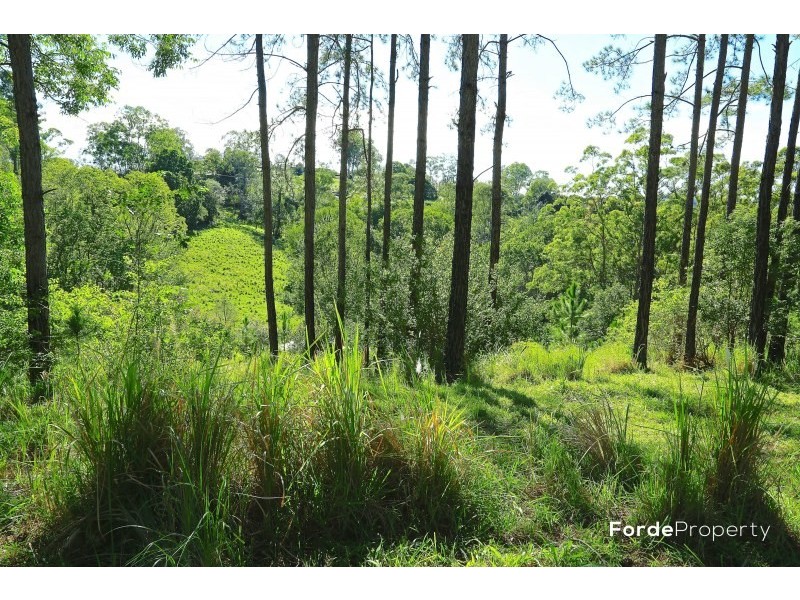 William Road, Eumundi QLD 4562