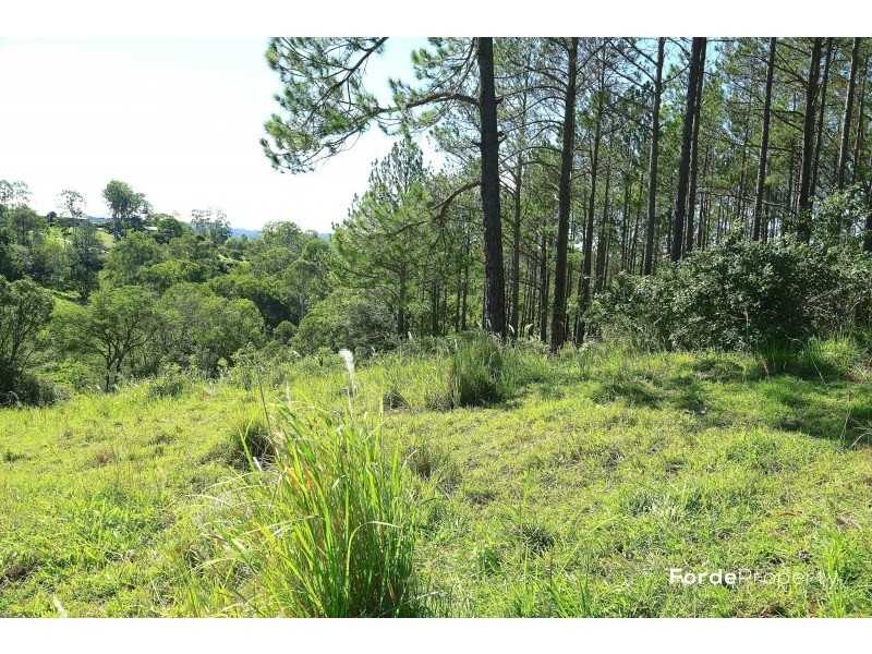 William Road, Eumundi QLD 4562