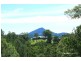 William Road, Eumundi QLD 4562