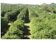 299 Bates Road, Como QLD 4571