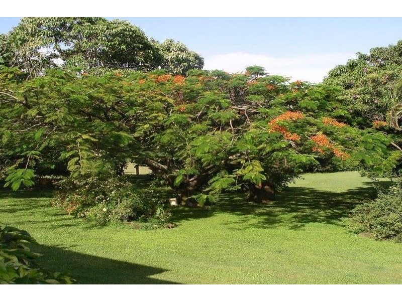 299 Bates Road, Como QLD 4571