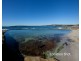 2C Harbour Street, Cronulla NSW 2230