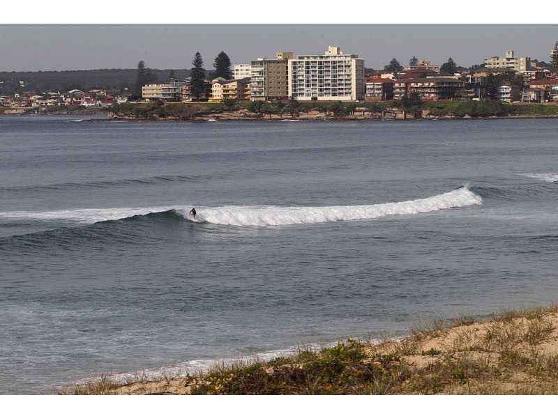 41 Kirkwood Road, Cronulla NSW 2230