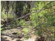 35 Warren Road, Lambells Lagoon NT 0822