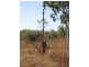 35 Warren Road, Lambells Lagoon NT 0822