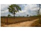 Bynoe Harbour NT 0822