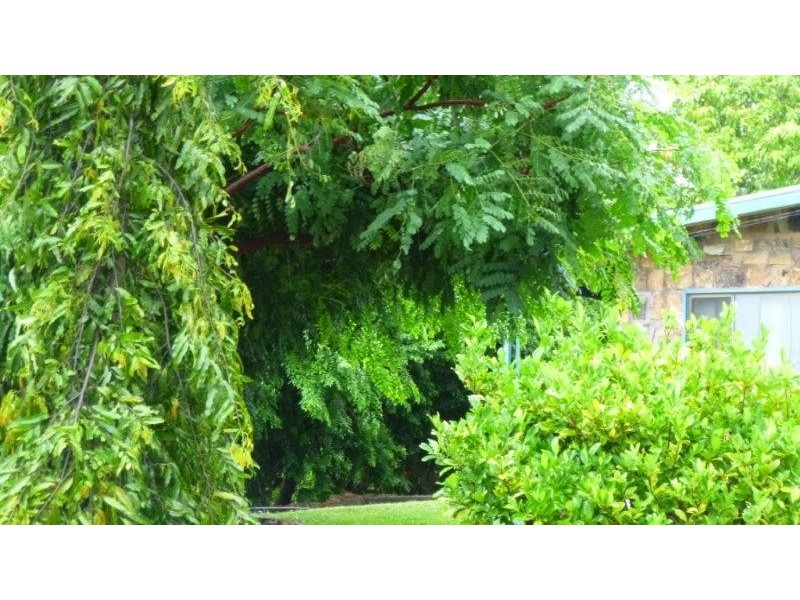 111 Strickland Road, Adelaide River NT 0846