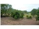 111 Strickland Road, Adelaide River NT 0846