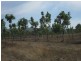 111 Strickland Road, Adelaide River NT 0846