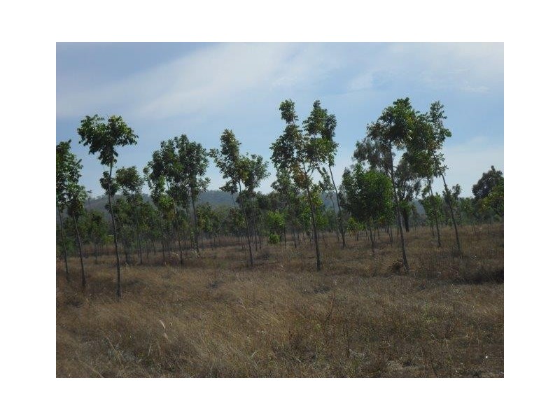 111 Strickland Road, Adelaide River NT 0846