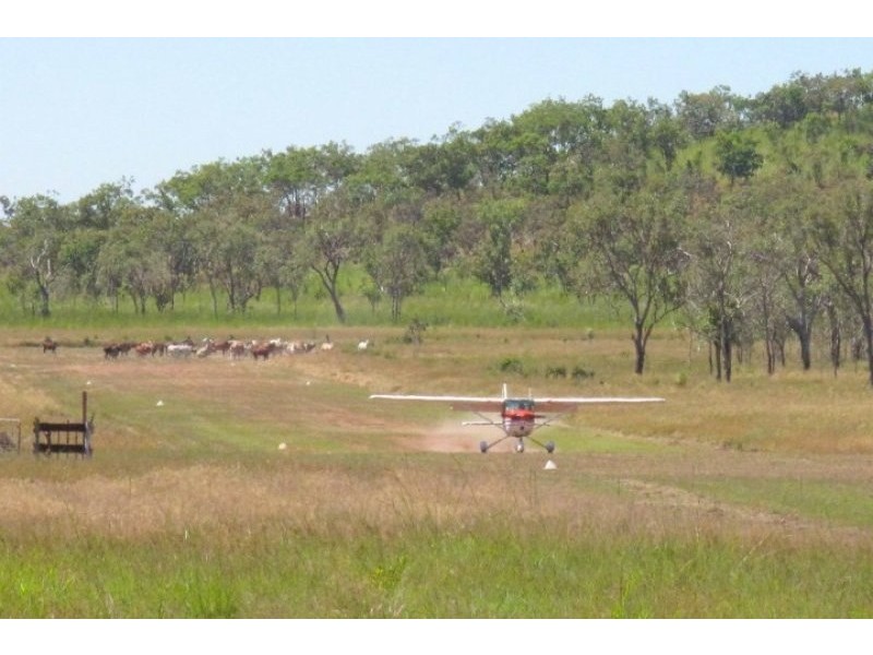Coomalie Creek NT 0845