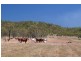 Coomalie Creek NT 0845