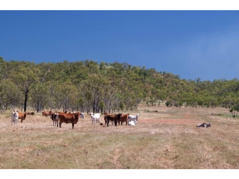 Coomalie Creek NT 0845