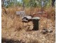 Livingstone NT 0822