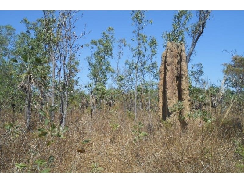 180 Meade Road, Darwin River NT 0841