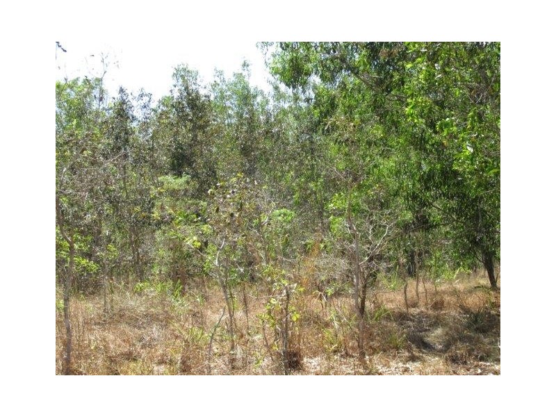 500 Peacock Road, Darwin River NT 0841