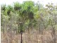 500 Peacock Road, Darwin River NT 0841