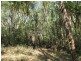 500 Peacock Road, Darwin River NT 0841
