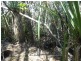 500 Peacock Road, Darwin River NT 0841