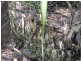 500 Peacock Road, Darwin River NT 0841