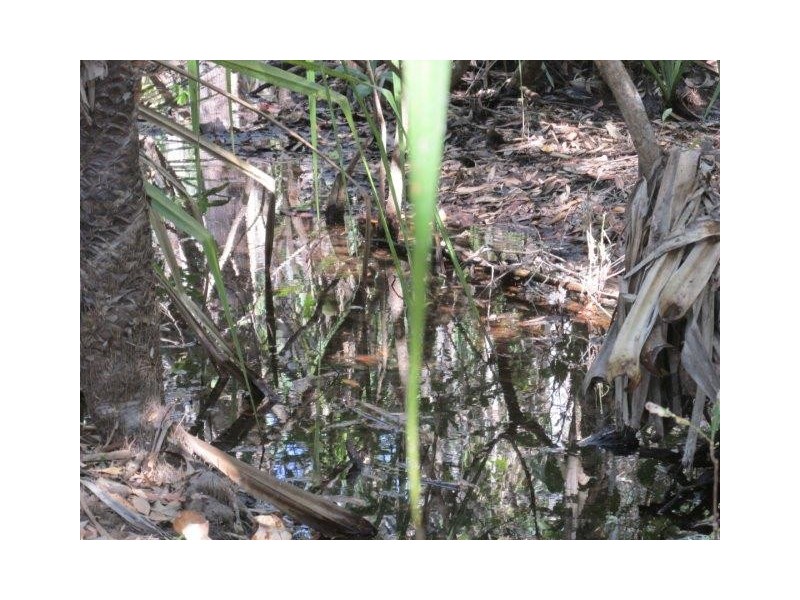 500 Peacock Road, Darwin River NT 0841
