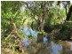 Darwin River NT 0841