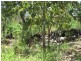 Darwin River NT 0841