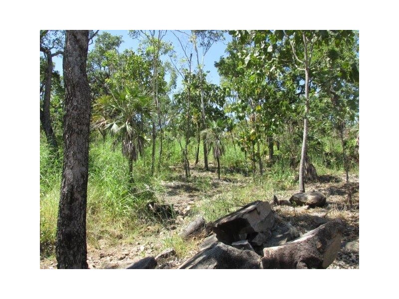 Darwin River NT 0841