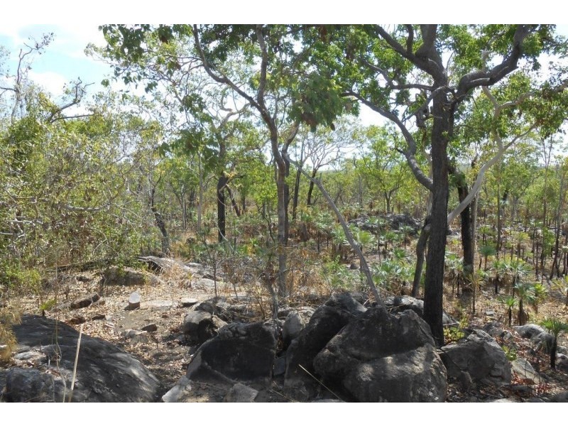 Darwin River NT 0841