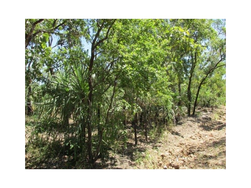 Darwin River NT 0841