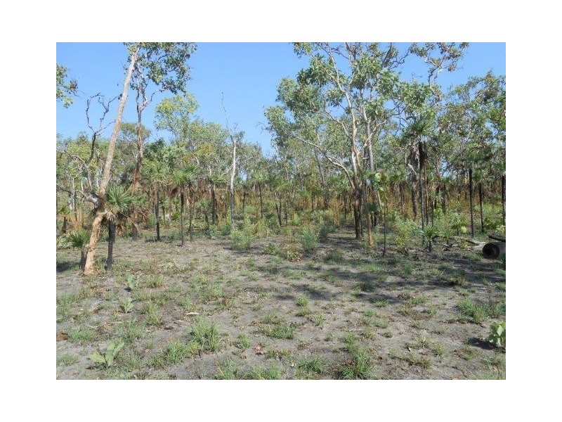 Coomalie Creek NT 0845