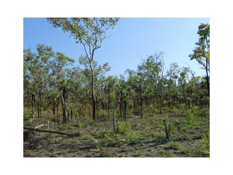 Coomalie Creek NT 0845