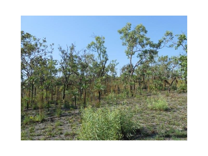 Coomalie Creek NT 0845