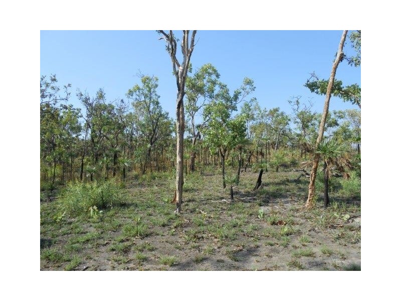 Coomalie Creek NT 0845