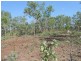 Coomalie Creek NT 0845