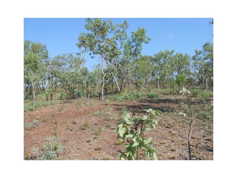 Coomalie Creek NT 0845