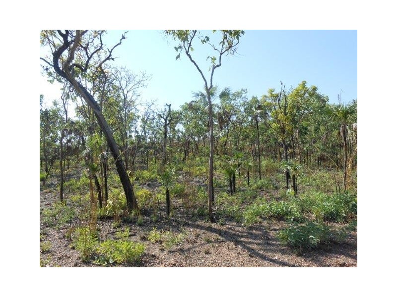 Coomalie Creek NT 0845