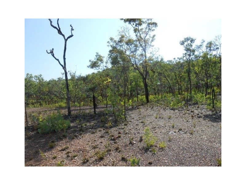 Coomalie Creek NT 0845