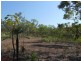 Coomalie Creek NT 0845